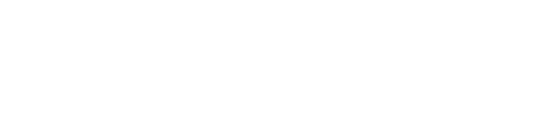 OptiChoice