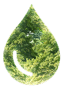 Sustainability in Every Step