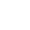 Vision